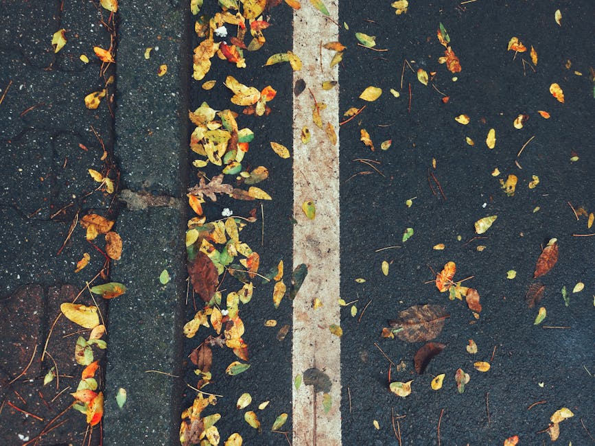 Ankara'nın Otopark Asfaltlama Hizmetleri: Renkli Seçeneklerle Fark Yaratın