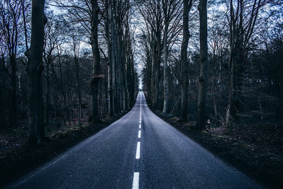 Asfalt Uygulamalarında Yeni Yöntemler ve Fırsatlar