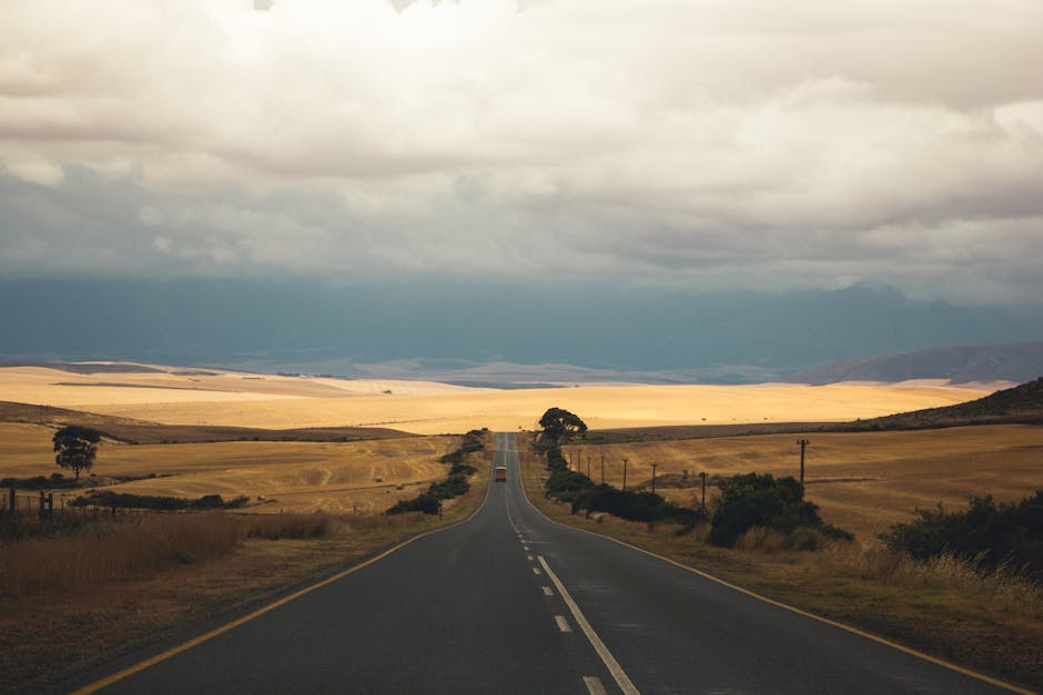 Özel Asfalt Firmaları: Yolların Geleceğini İnşa Eden Uzmanlar
