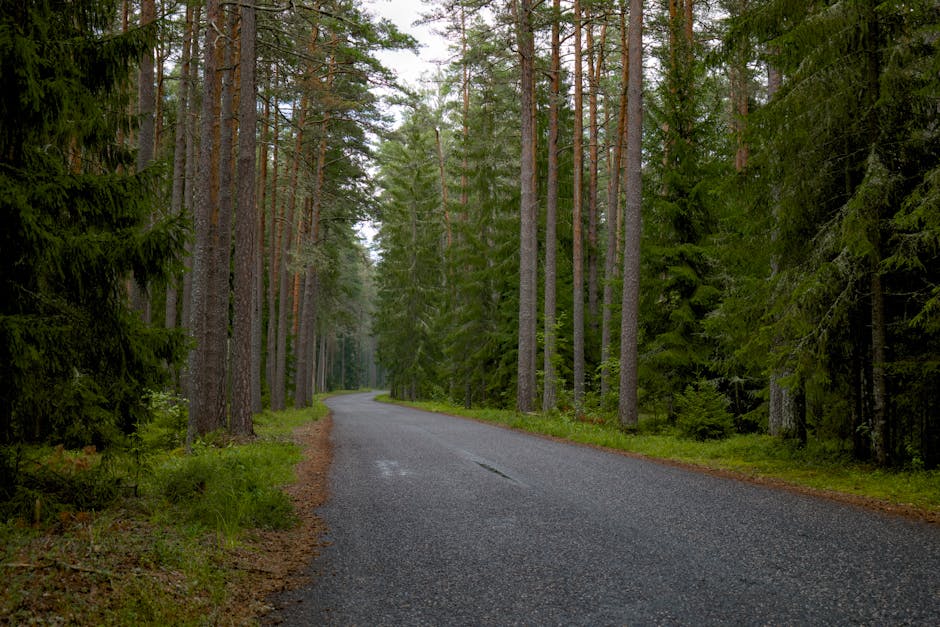 Şehir İçi Yollar: Kimler Sorumlu ve Maliyetleri Nasıldır?